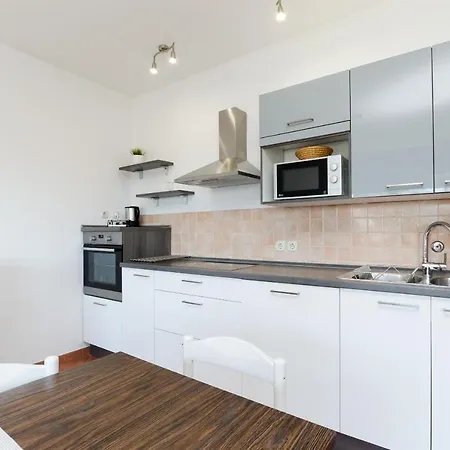Apartment Branka