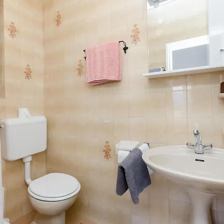 Apartment Branka *