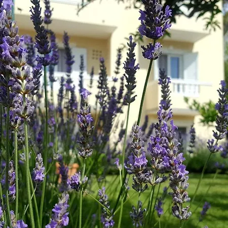 Apartment Branka Banjol