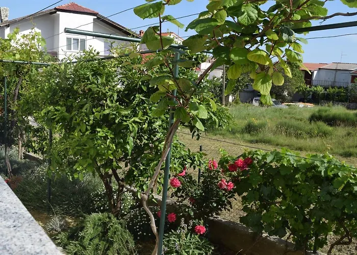 Apartament Branka *