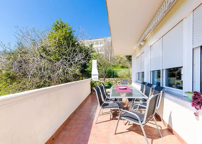 Apartament Branka *