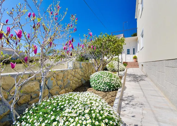 Branka Apartament