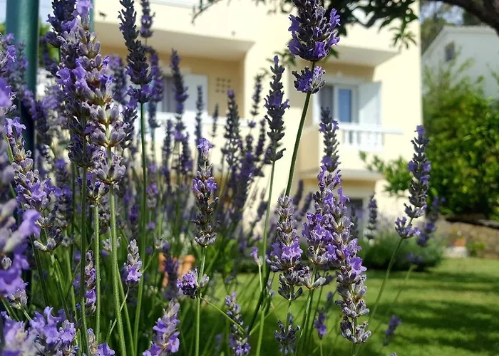 Apartament Branka Banjol
